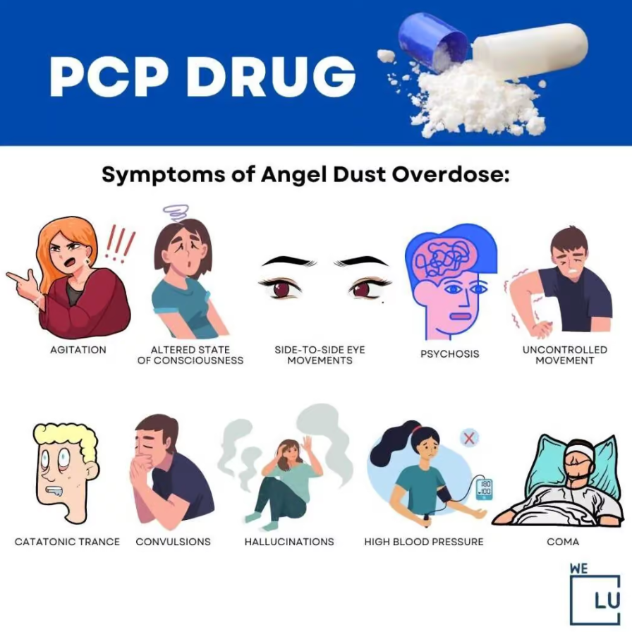 Is PCP addictive? Regular use of PCP can result in withdrawal symptoms when the drug is not taken, contributing to the cycle of addiction. Withdrawal symptoms may include anxiety, depression, and cravings for the drug.